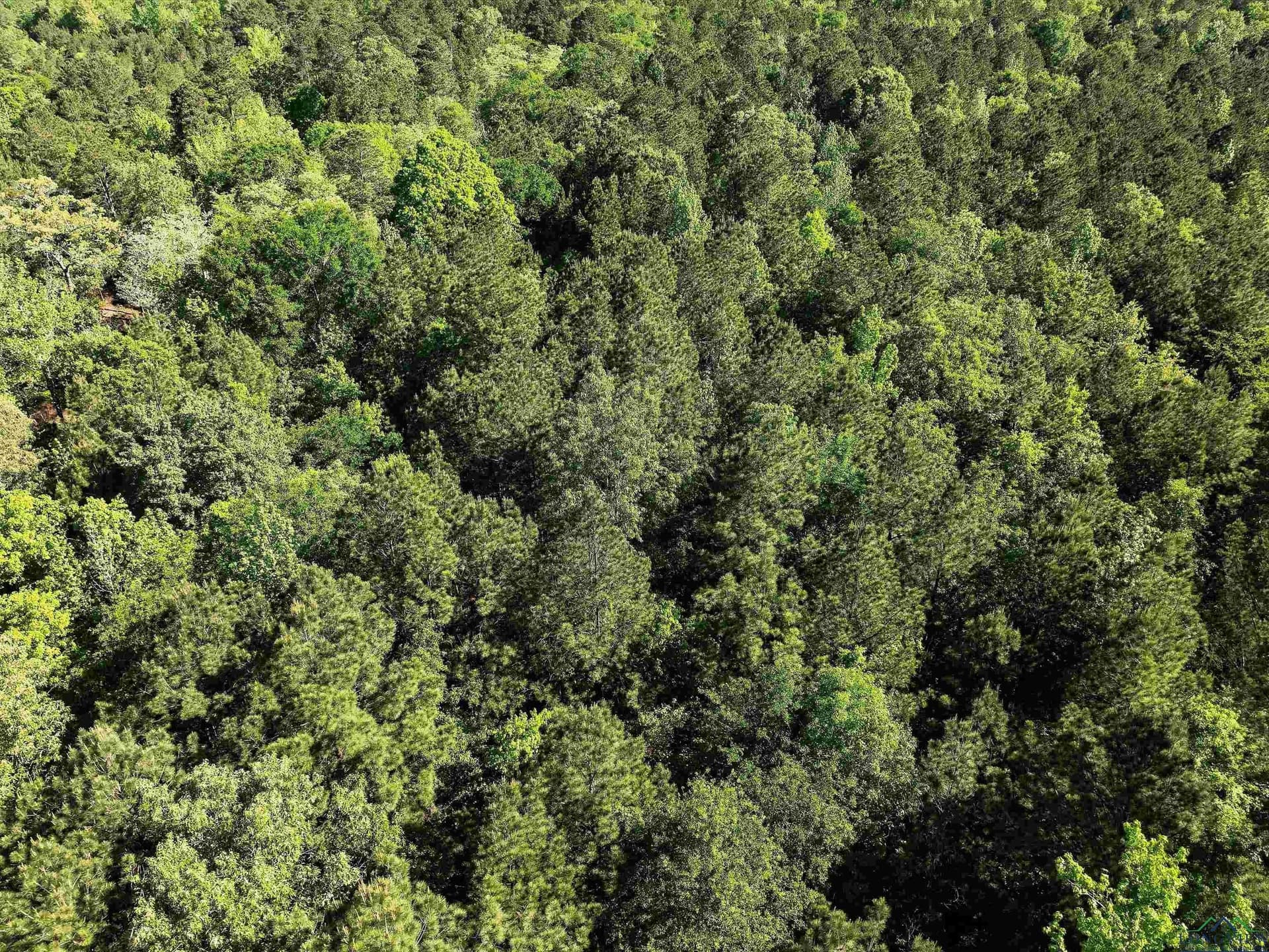 19.94 acres in Marion County - photo 11