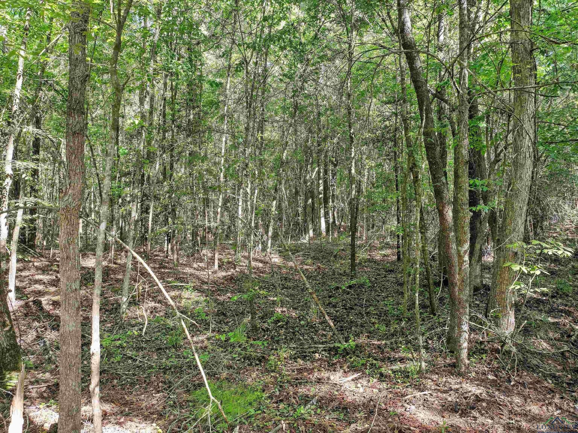 19.94 acres in Marion County - photo 4