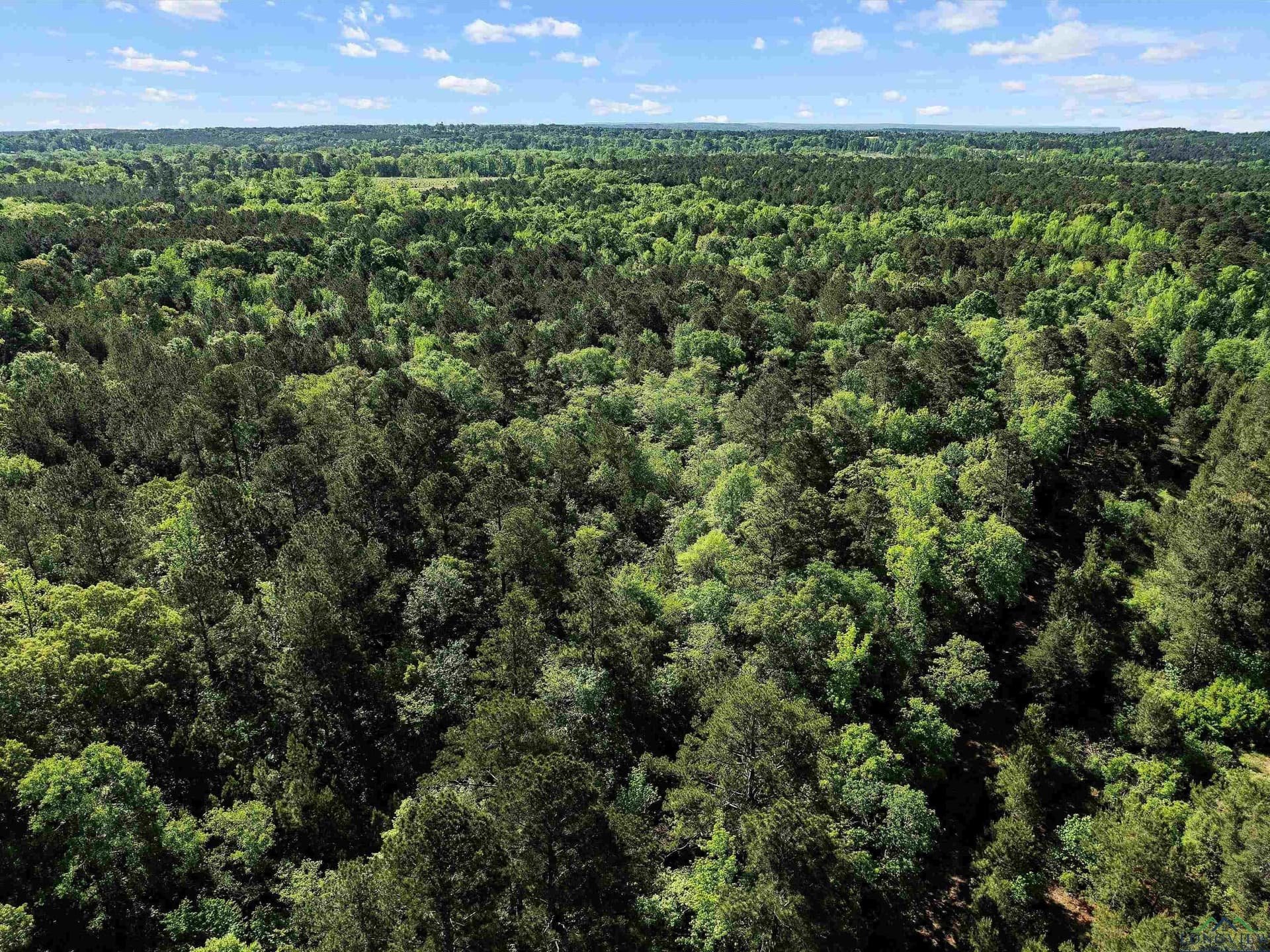 19.94 acres in Marion County - photo 9