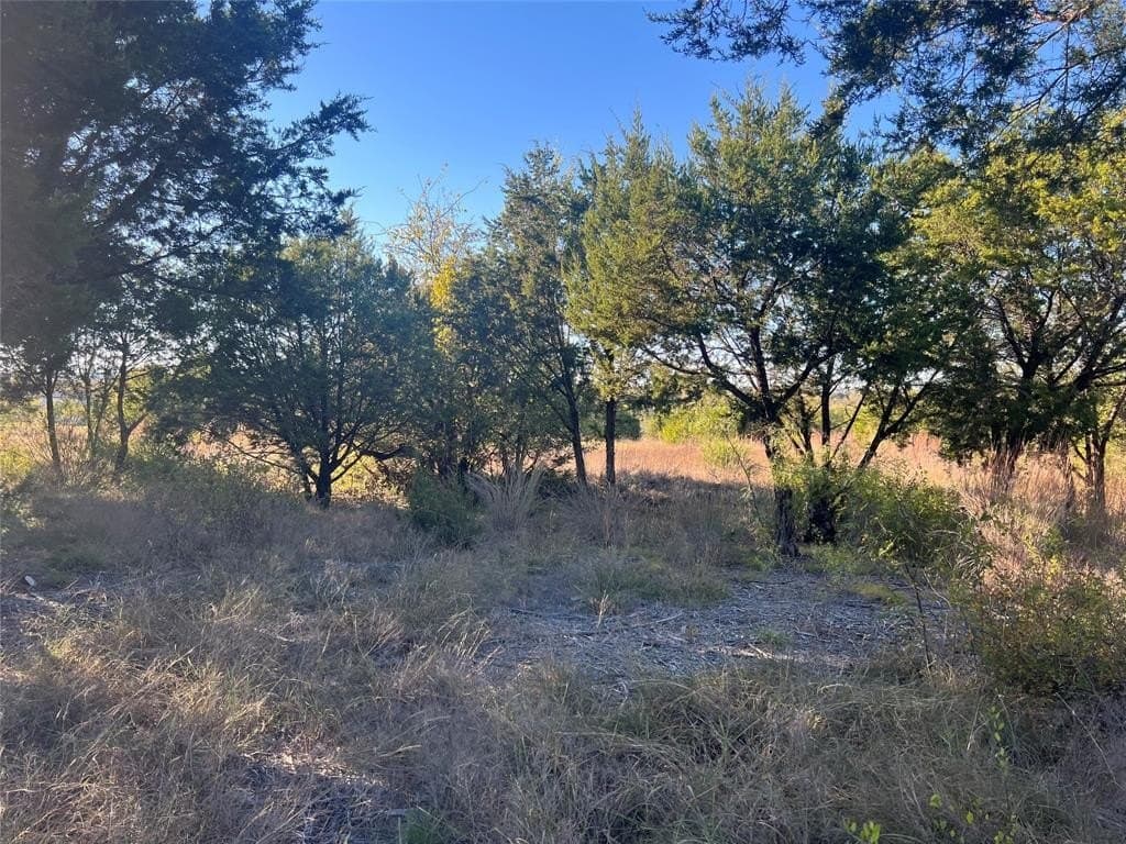 2 acres in Hood County - photo 2
