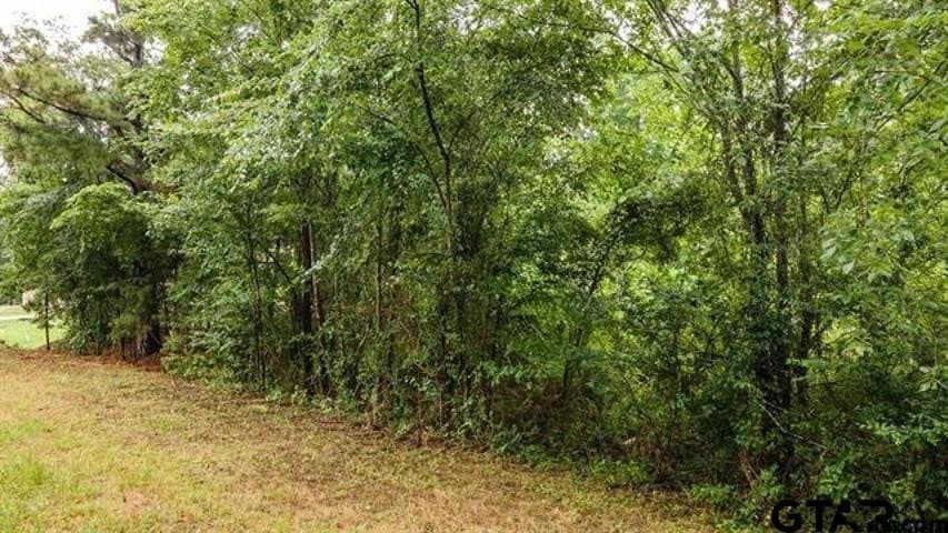 0.5 acres in Anderson County - photo 4
