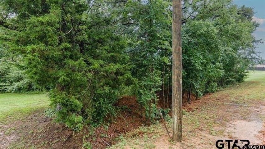 0.5 acres in Anderson County - photo 3