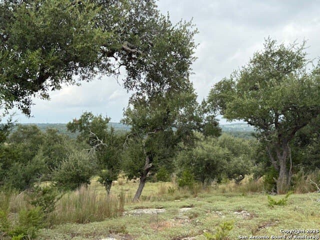 18.14 acres in Comal County - photo 44