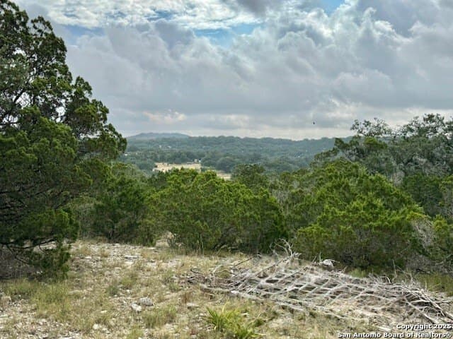 18.14 acres in Comal County - photo 43