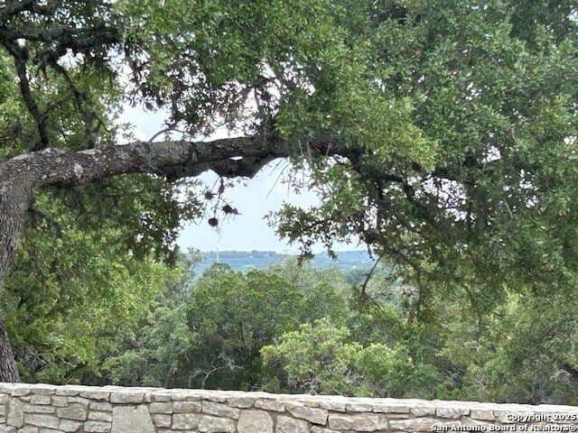 18.14 acres in Comal County - photo 37