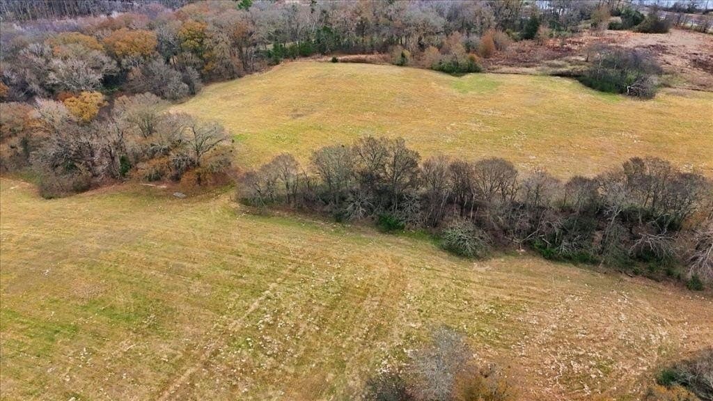 41 acres in Wood County - photo 13