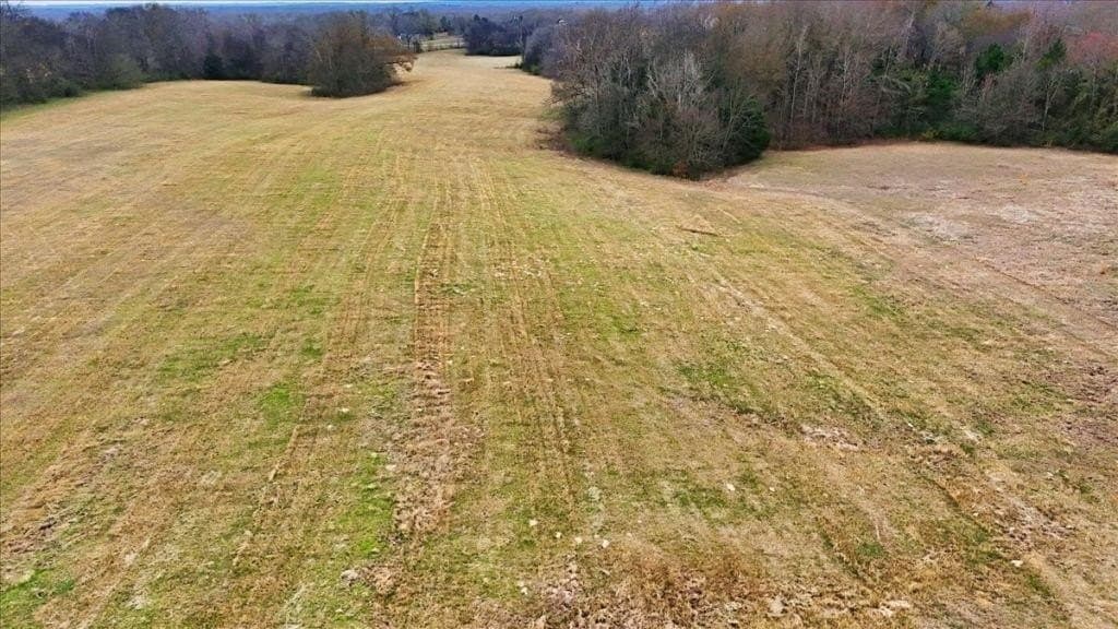 41 acres in Wood County - photo 16