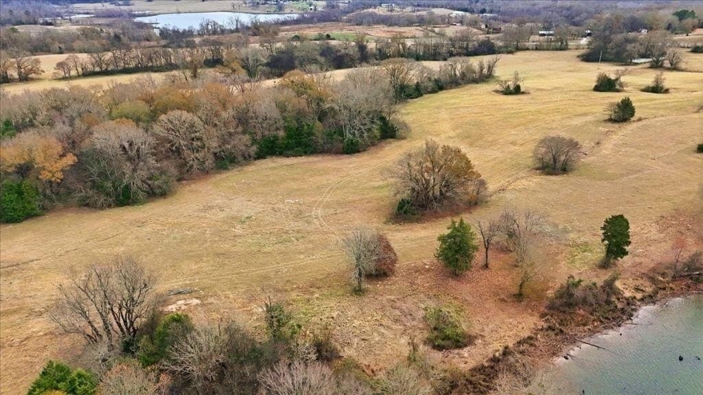 41 acres in Wood County - photo 12