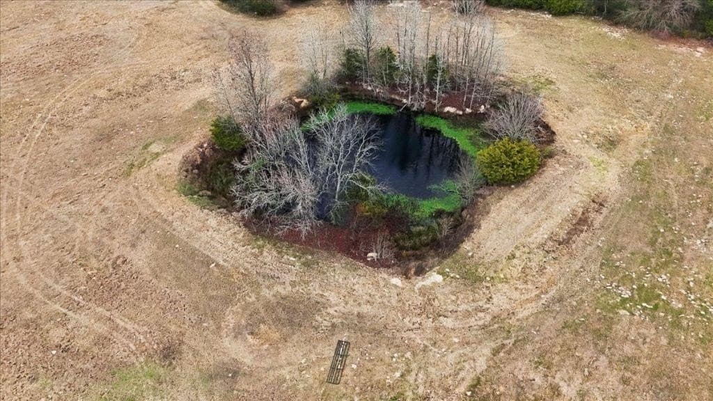 41 acres in Wood County - photo 11