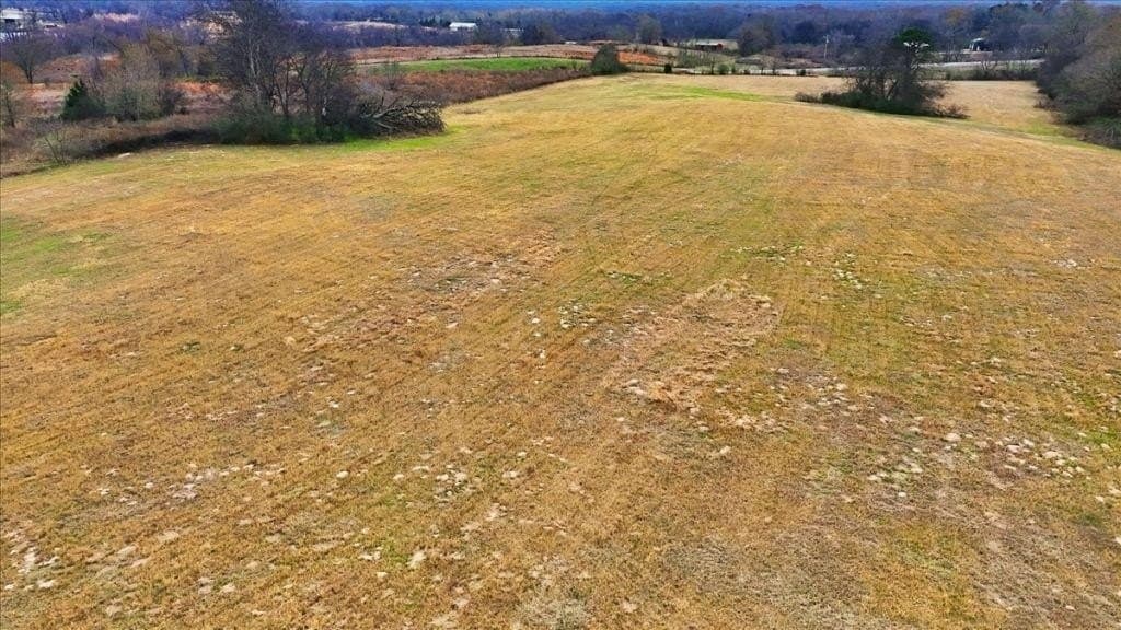 41 acres in Wood County - photo 10