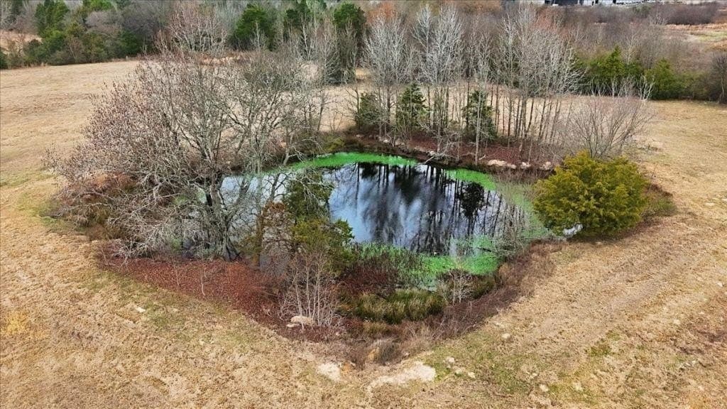 41 acres in Wood County - photo 17