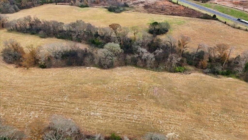 41 acres in Wood County - photo 14