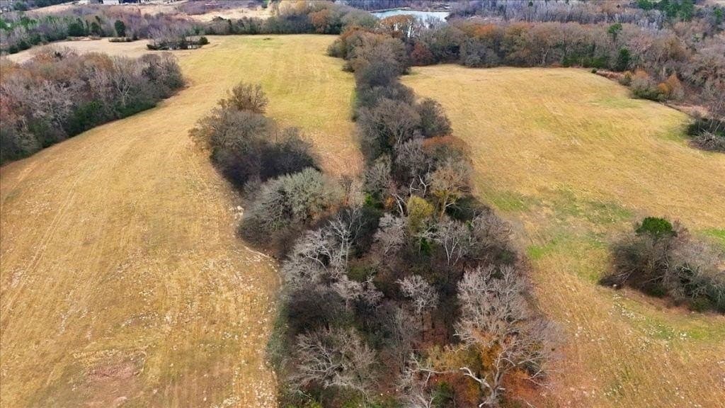 41 acres in Wood County - photo 18