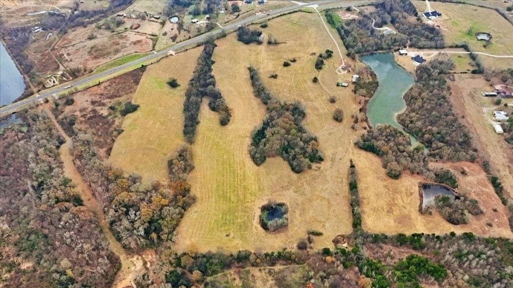 41 acres in Wood County - photo 6