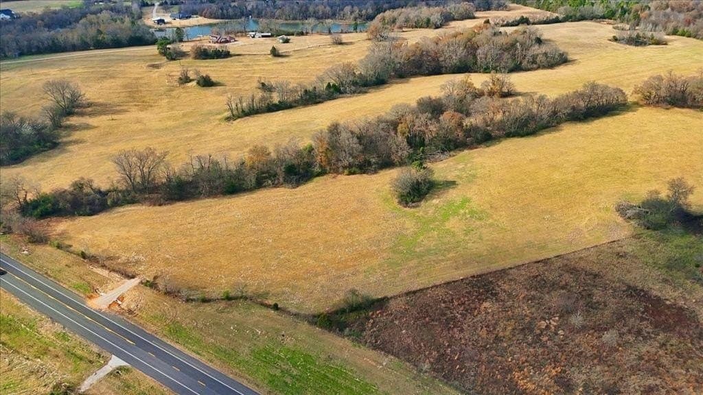 41 acres in Wood County - photo 3