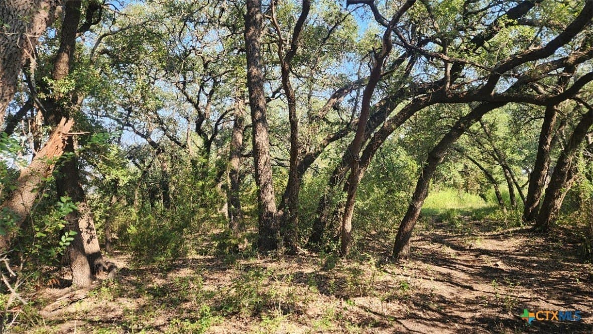 54 acres in Burnet County - photo 2