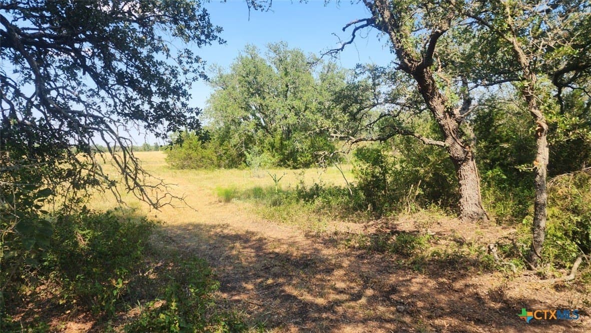 54 acres in Burnet County - photo 5