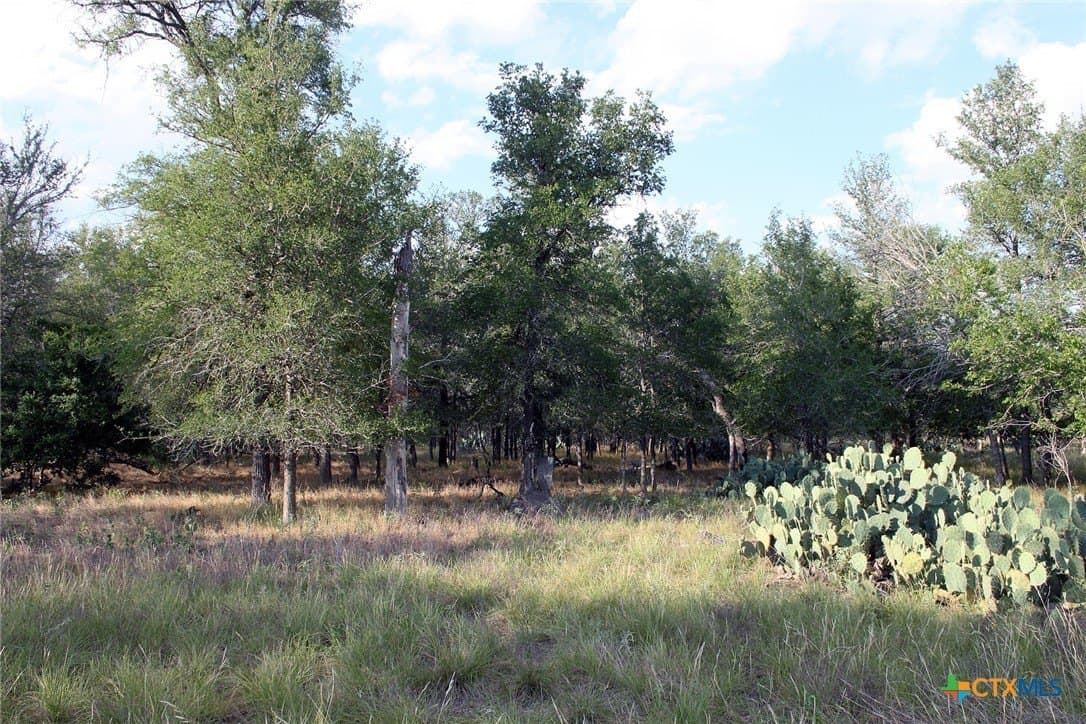 79.61 acres in Caldwell County - photo 6