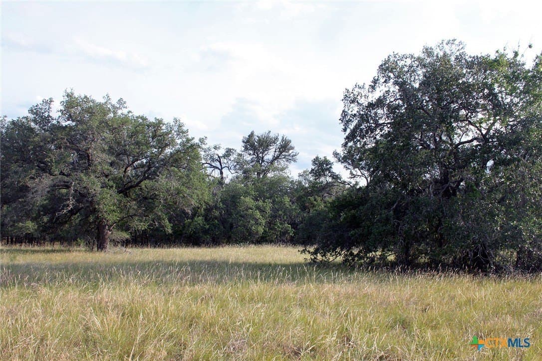 79.61 acres in Caldwell County - photo 9