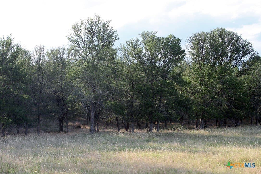 79.61 acres in Caldwell County - photo 12