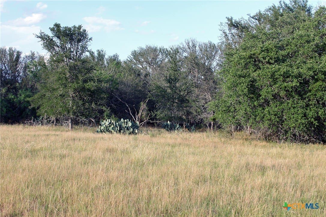 79.61 acres in Caldwell County - photo 28