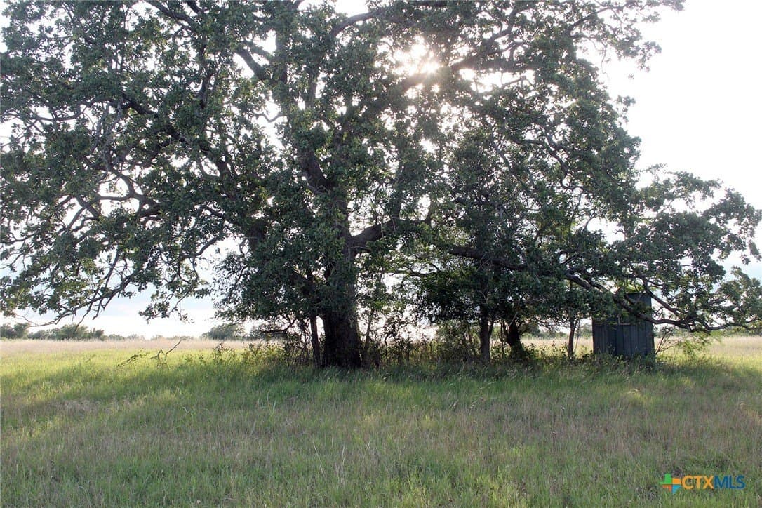 79.61 acres in Caldwell County - photo 27