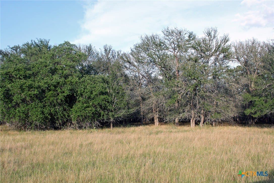 79.61 acres in Caldwell County - photo 29