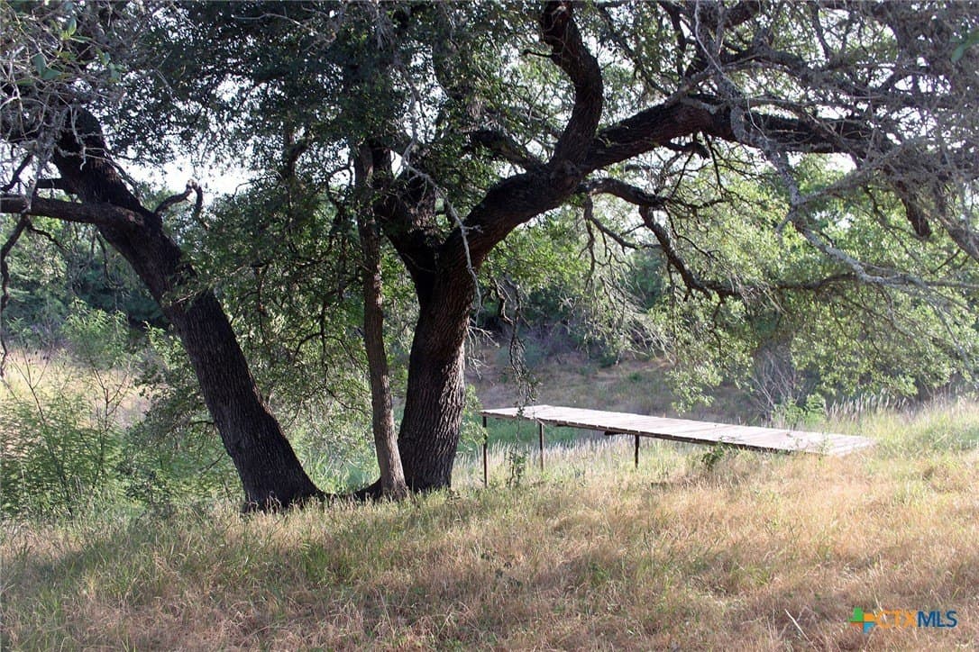 79.61 acres in Caldwell County - photo 4
