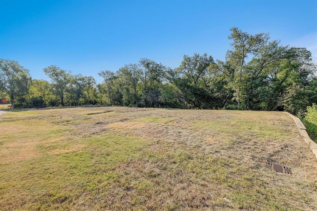 0.17 acres in Collin County - photo 13
