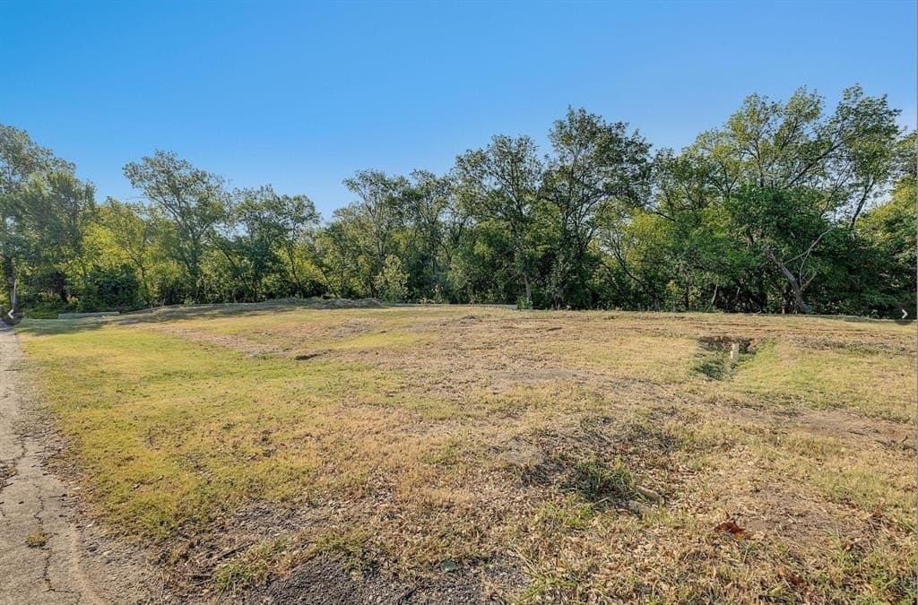 0.17 acres in Collin County - photo 17