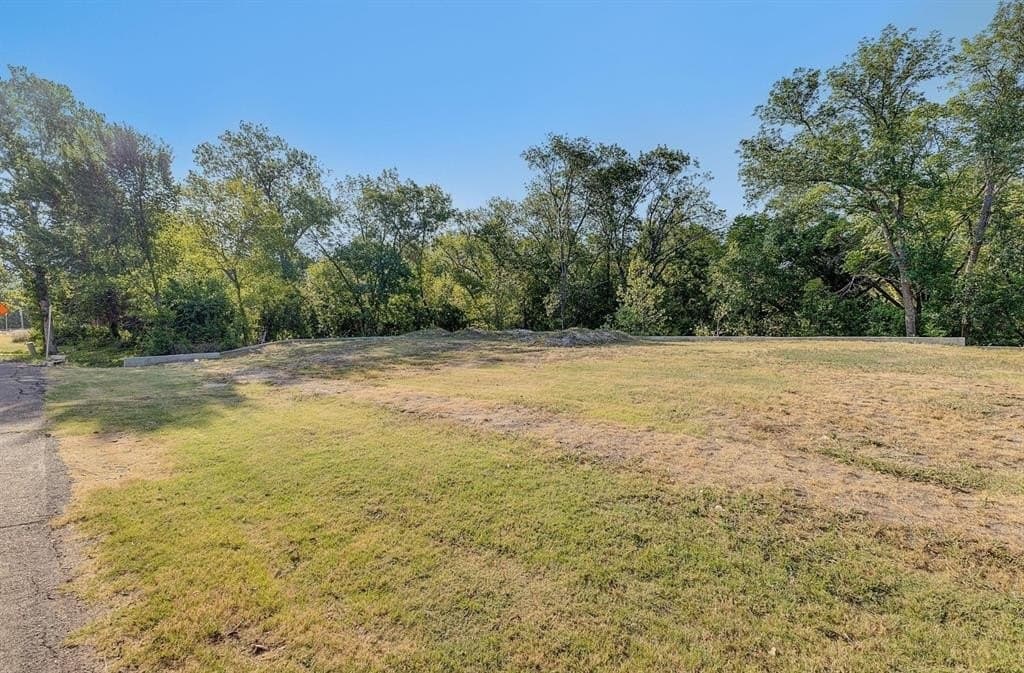 0.17 acres in Collin County - photo 15
