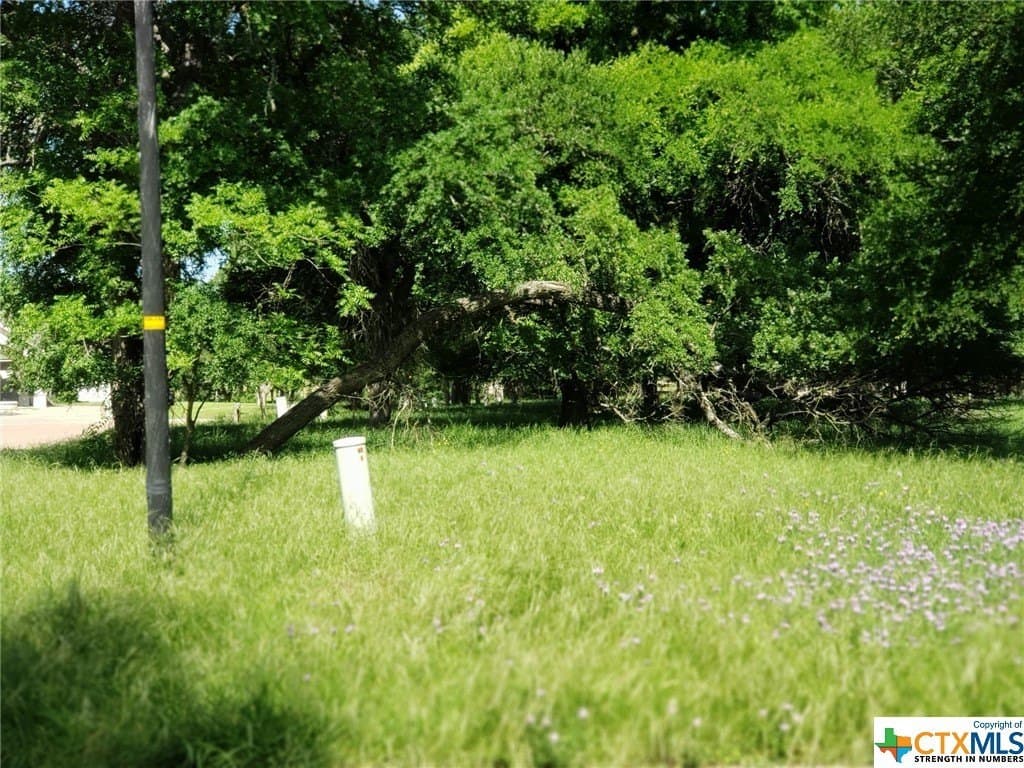 0.52 acres in Bell County - photo 2