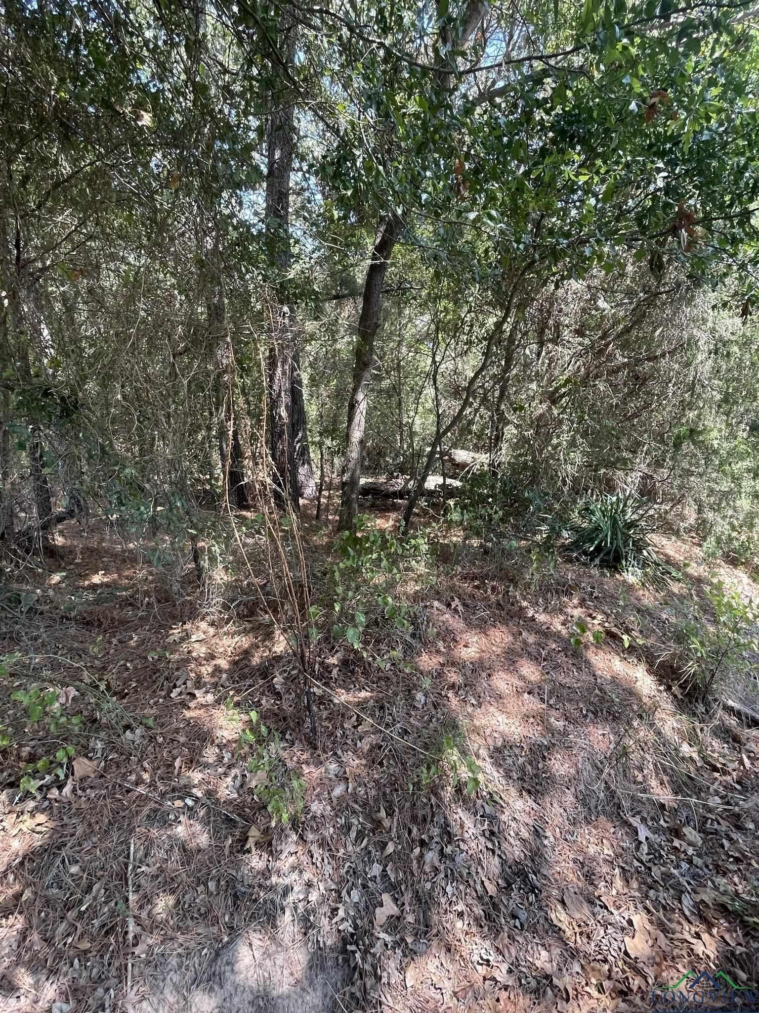 10 acres in Texas County - photo 3