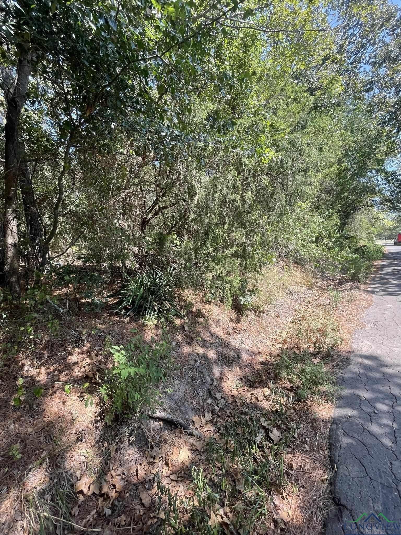 10 acres in Texas County - photo 8