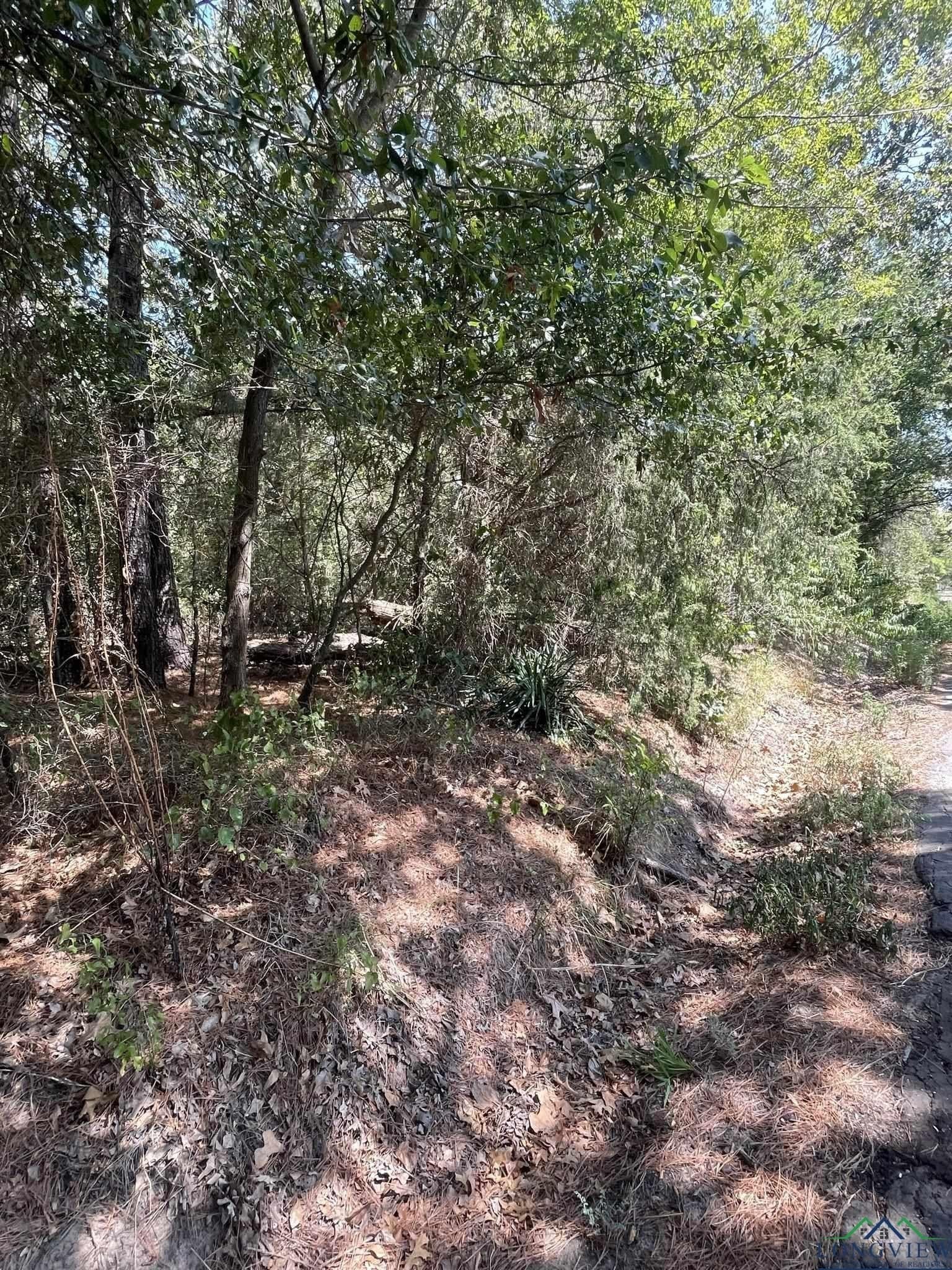 10 acres in Texas County - photo 6