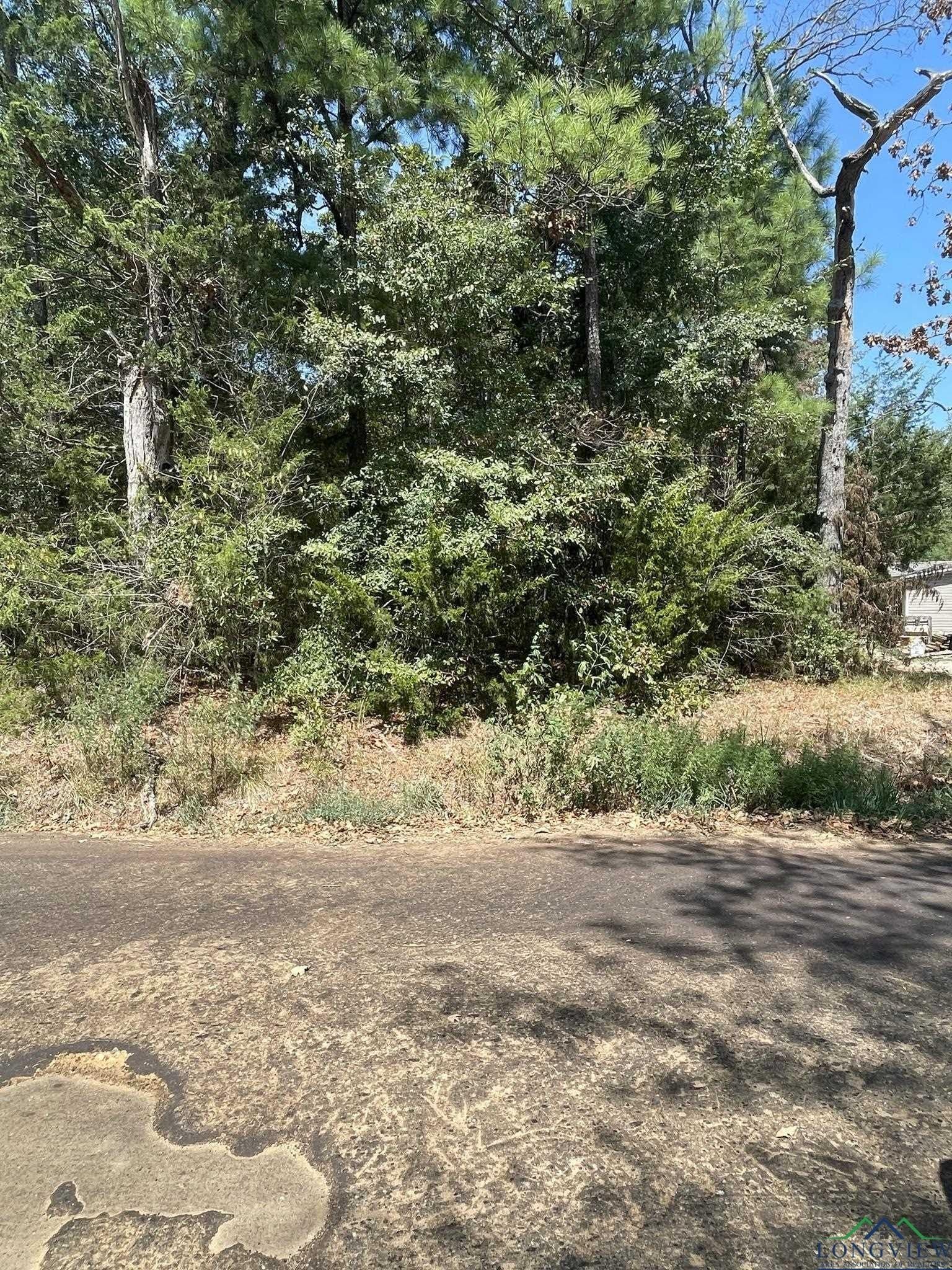 10 acres in Texas County - photo 11