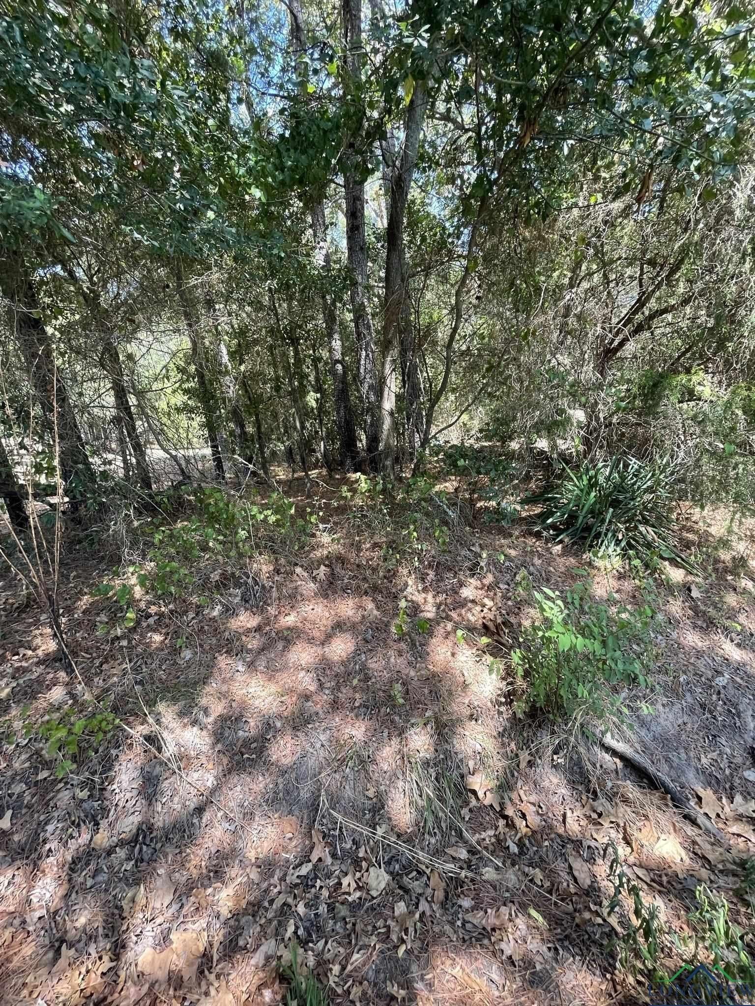 10 acres in Texas County - photo 9