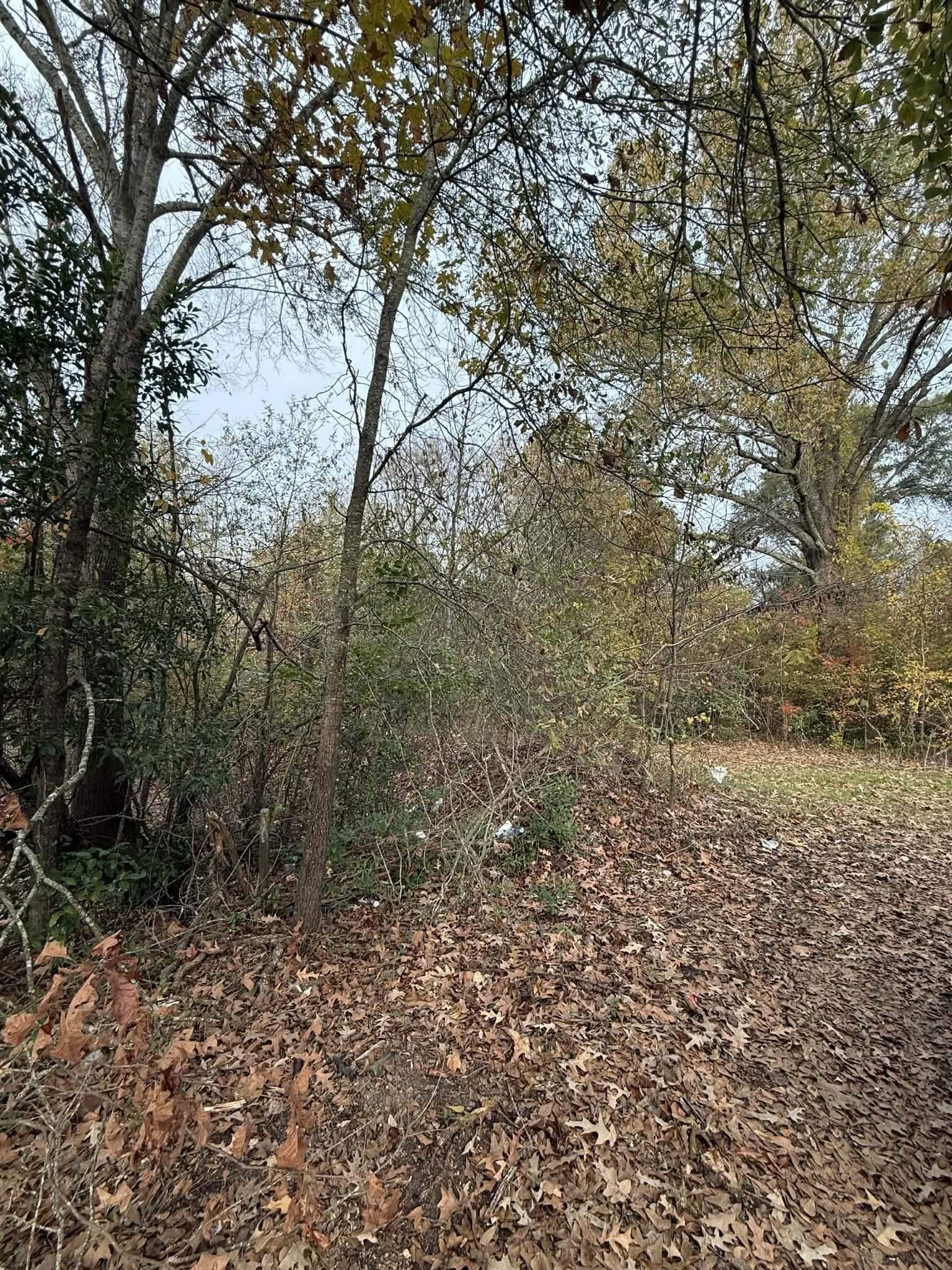 0.18 acres in Gregg County - photo 2