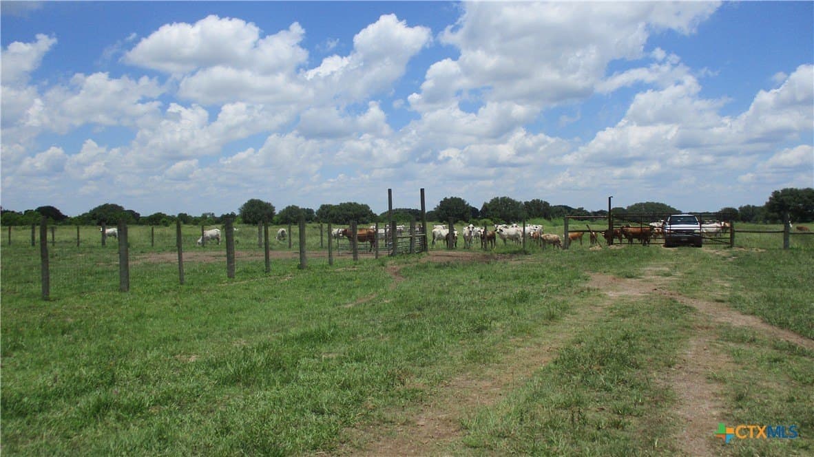 412.21 acres in Brazoria County - photo 14