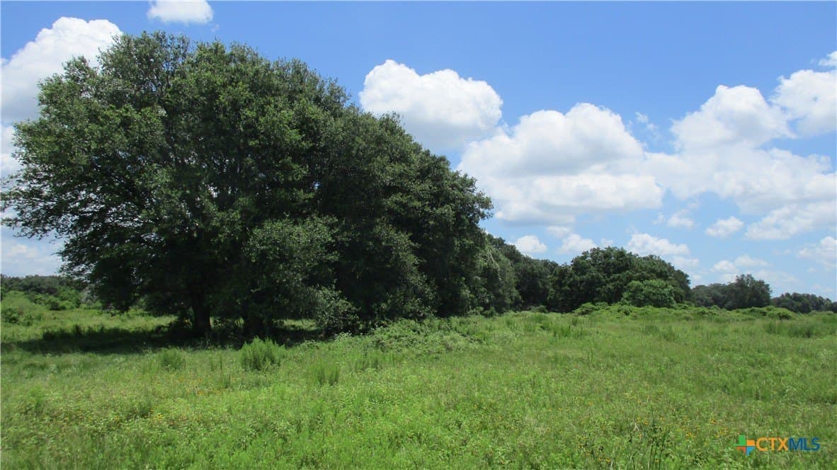 412.21 acres in Brazoria County - photo 16