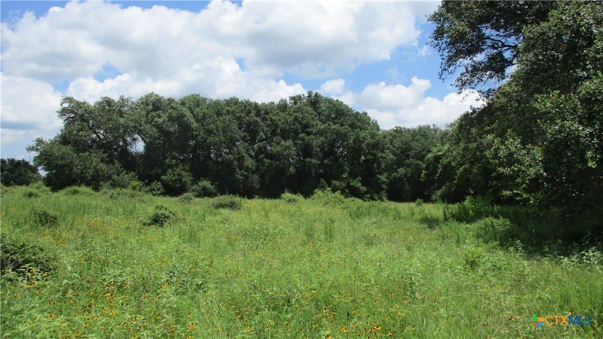 412.21 acres in Brazoria County - photo 28