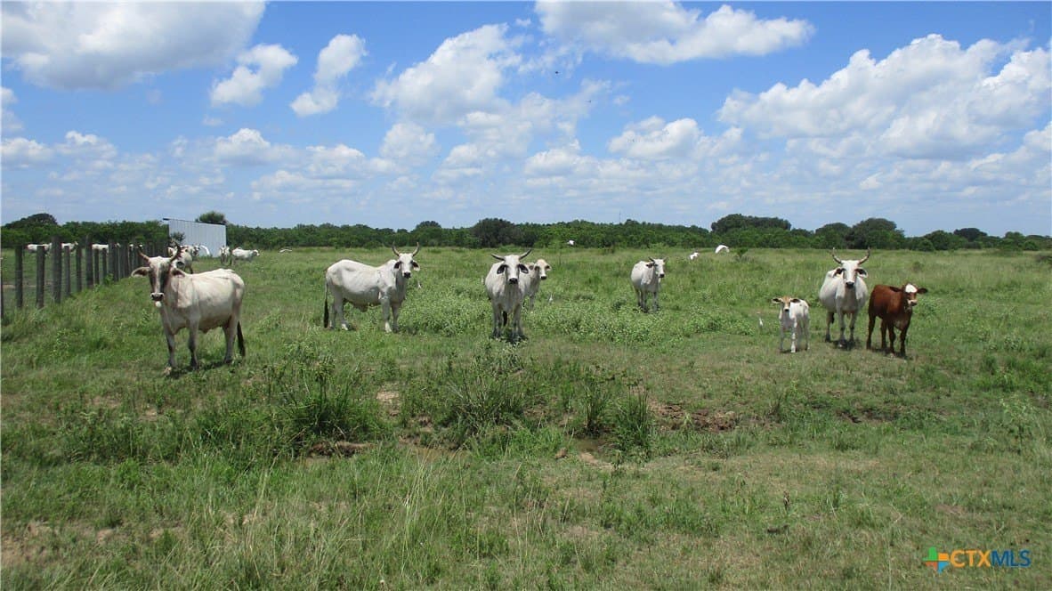 412.21 acres in Brazoria County - photo 20