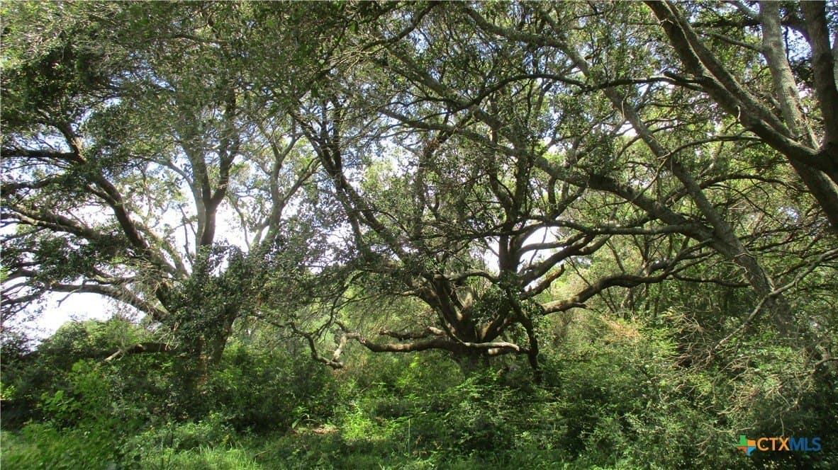412.21 acres in Brazoria County - photo 23