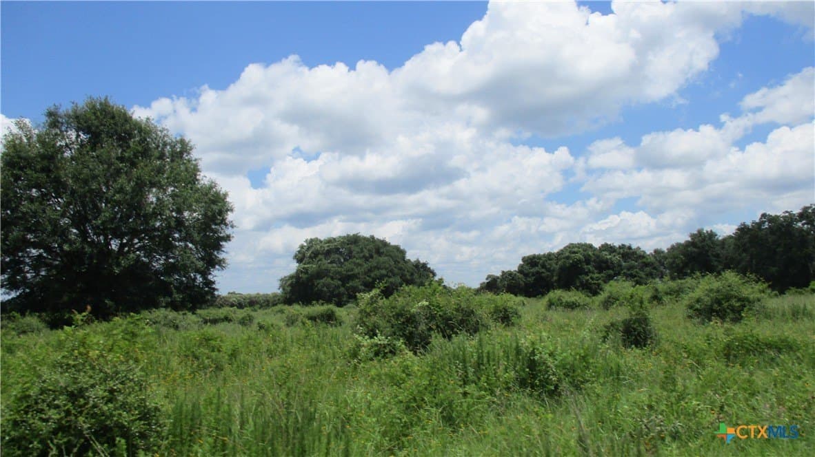 412.21 acres in Brazoria County - photo 24