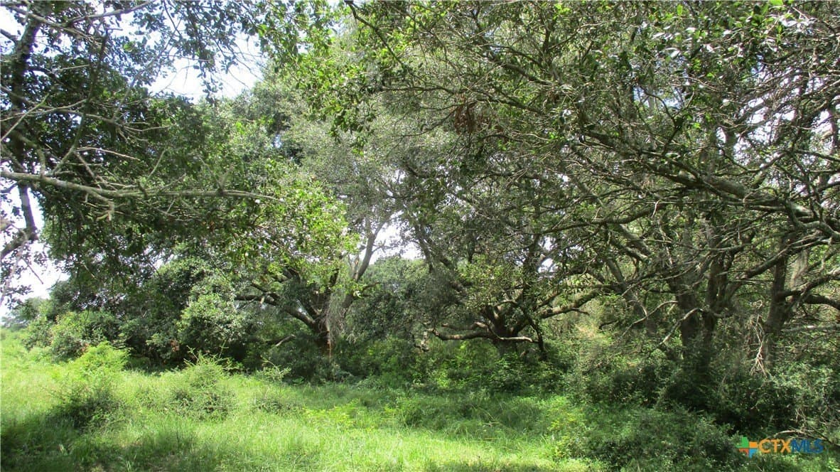 412.21 acres in Brazoria County - photo 12