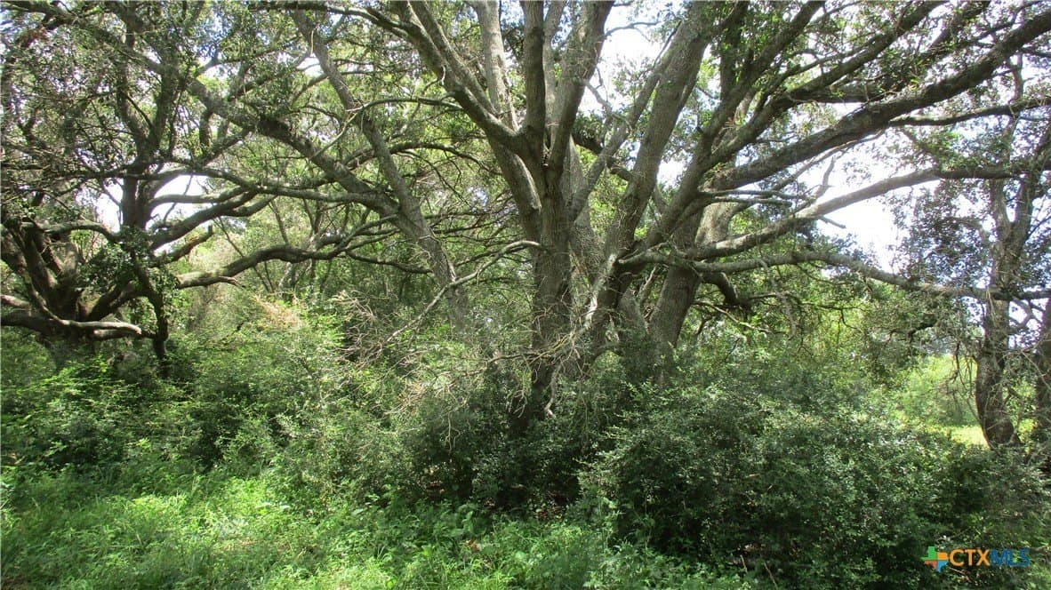 412.21 acres in Brazoria County - photo 22