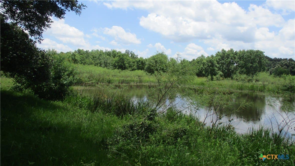 412.21 acres in Brazoria County - photo 10