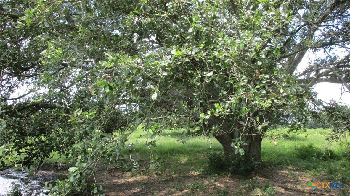412.21 acres in Brazoria County - photo 11