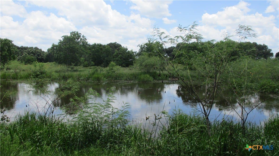 412.21 acres in Brazoria County - photo 17