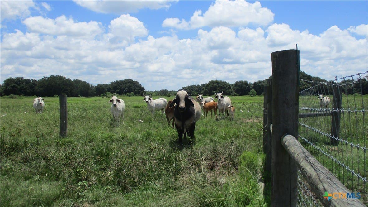 412.21 acres in Brazoria County - photo 21